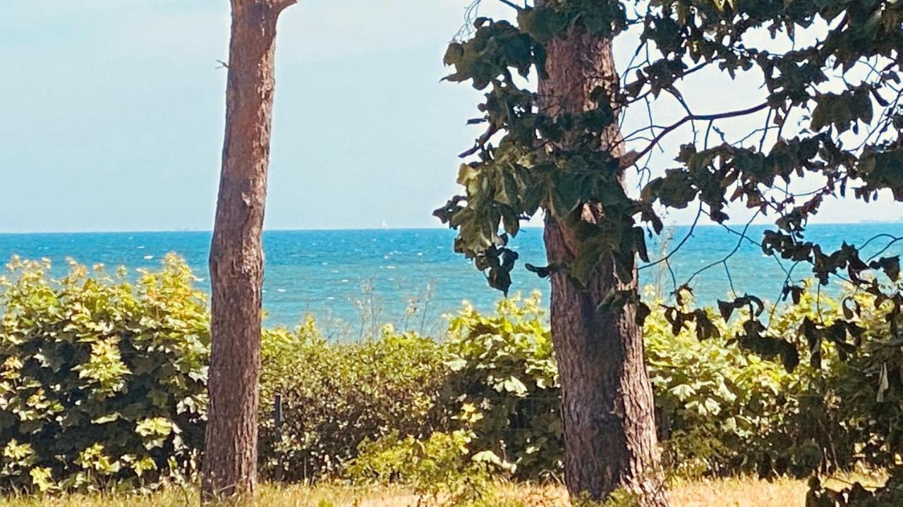 Haus Am Strand Бреге Екстериор снимка